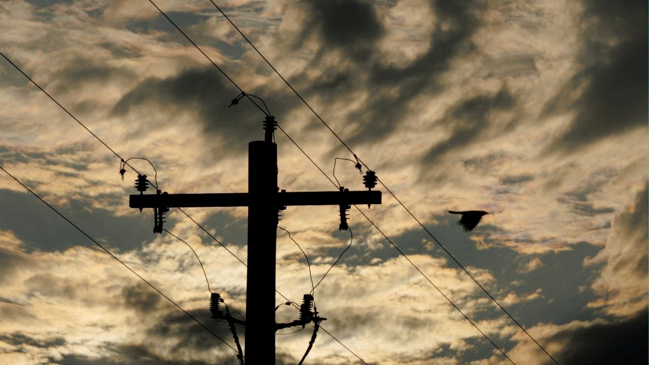 A bird flies past electrical power lines during a storm in Anson, Texas, U.S., April 24, 2025. (Reuters File)