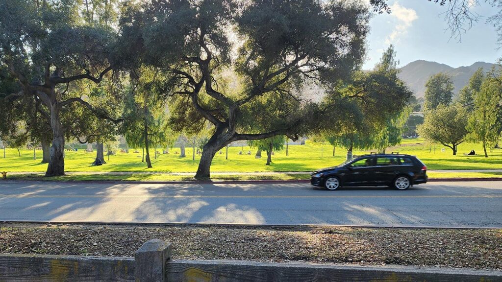 Image of a park on a sunny winter day