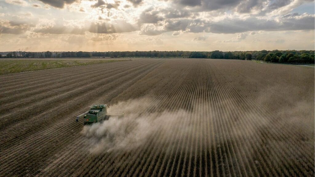 Soybean fields near Stuttgart, Ark., Oct. 25, 2023. The retraction of a landmark 2000 study that found glyphosate — the active ingredient in Roundup — wasn’t a human health risk has set off a crisis of confidence in the science behind a weedkiller that has become the backbone of American food production. (Rory Doyle/The New York Times)