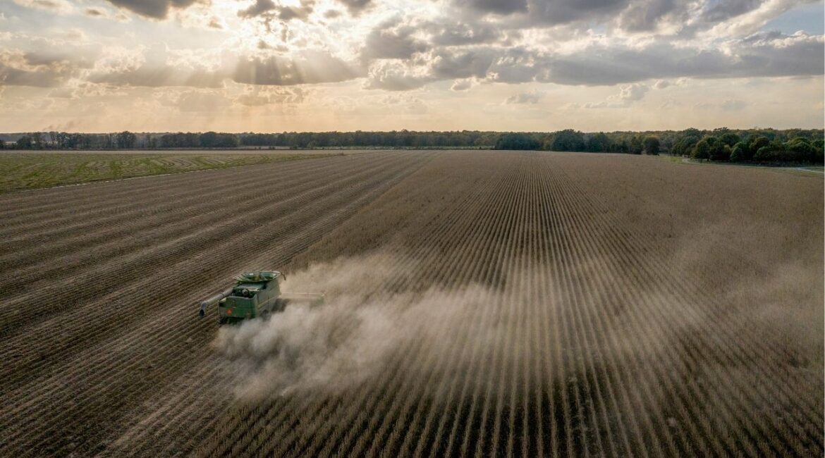 Soybean fields near Stuttgart, Ark., Oct. 25, 2023. The retraction of a landmark 2000 study that found glyphosate — the active ingredient in Roundup — wasn’t a human health risk has set off a crisis of confidence in the science behind a weedkiller that has become the backbone of American food production. (Rory Doyle/The New York Times)