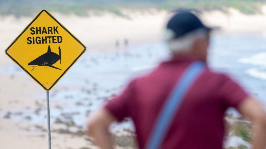 Warning signs are in place, and beaches are closed after a surfer suffered a shark attack today at Dee Why Beach in Sydney, Australia, January 19, 2026. (Reuters/Jeremy Piper)