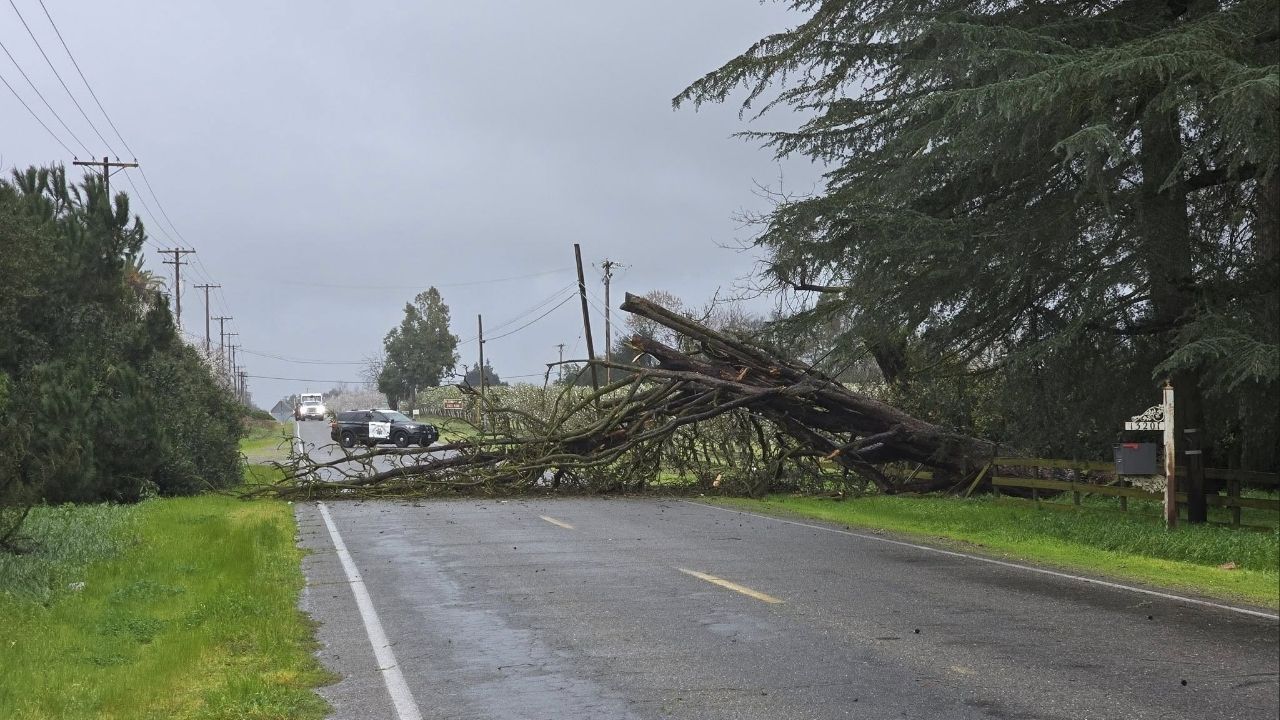 A fallen tree is blocking both lanes of El Capitan Way at Pepper Street in Merced County on Thursday, Feb. 19, 2026, and has also knocked down phone and communication lines, CHP officials said. (CHP)