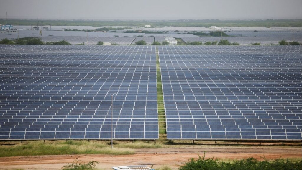 A general view of solar panels at Gujarat Solar Park also called Charanka Solar Park at Patan district in Gujarat, India September 12, 2024. (Reuters/Amit Dave)