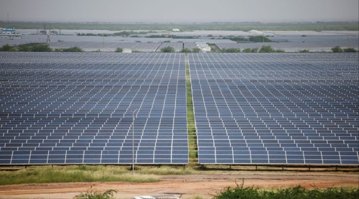 A general view of solar panels at Gujarat Solar Park also called Charanka Solar Park at Patan district in Gujarat, India September 12, 2024. (Reuters/Amit Dave)
