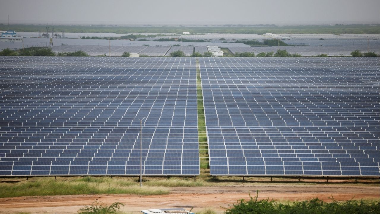 A general view of solar panels at Gujarat Solar Park also called Charanka Solar Park at Patan district in Gujarat, India September 12, 2024. (Reuters/Amit Dave)