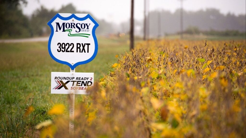A sign for Xtend, Monsanto's brand of genetically modified, dicamba-resistant soybeans, near a farm in Mississippi County, Mo., Sept. 13, 2017. Bayer said on Feb. 17, 2026 that it had reached an agreement that would pay plaintiffs $7.25 billion to settle tens of thousands of lawsuits that claimed the weedkiller Roundup caused non-Hodgkin’s lymphoma. (Brandon Dill/The New York Times)