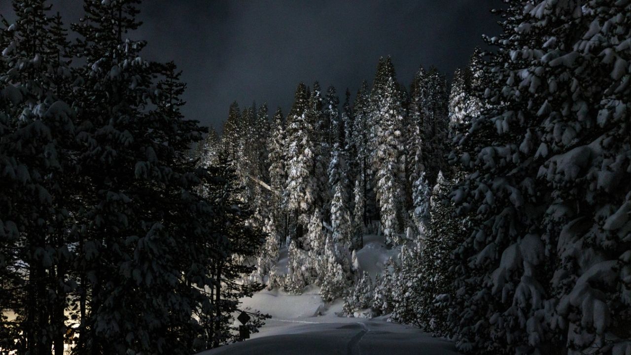 A snow-covered trail leading to Castle Peak, near Soda Springs, Calif., late Wednesday, Feb. 18, 2026. Eight skiers were killed and one other was presumed dead following an avalanche on Tuesday, the deadliest snow disaster in modern California history. Six were found alive. (Max Whittaker/The New York Times)