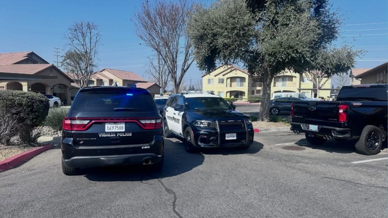 A suspect was arrested following a hit-and-run and connected assault along Lovers Lane in Visalia Wednesday, Feb. 4, 2026. (Visalia PD)