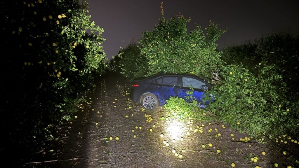 CHP officers responded to a crash on wet Highway 65 south of Avenue 200 on Tuesday, Feb. 10, 2026, after a car veered into an orchard and struck a tree, prompting a reminder to slow down in rainy conditions. (CHP)