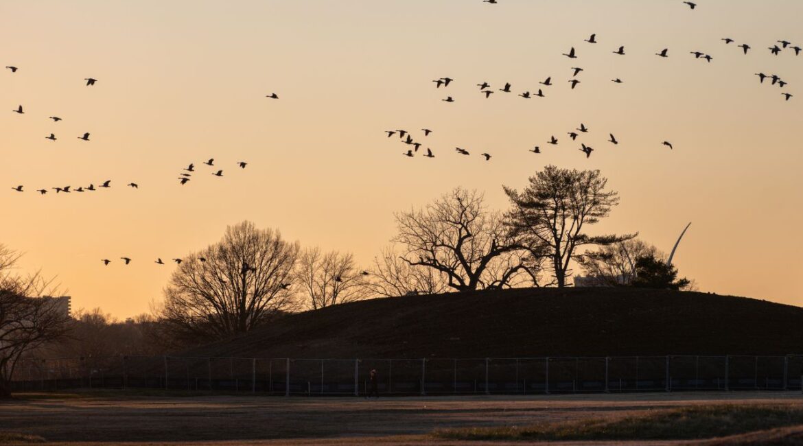 Fences around the dump site where debris and soil from the demolition of the White House East Wing is deposited in East Potomac Park in Washington on Jan. 19, 2026. The park’s municipal golf course has been a fixture in Washington for decades. President Donald Trump is turning it into something else. (Kent Nishimura/ The New York Times)