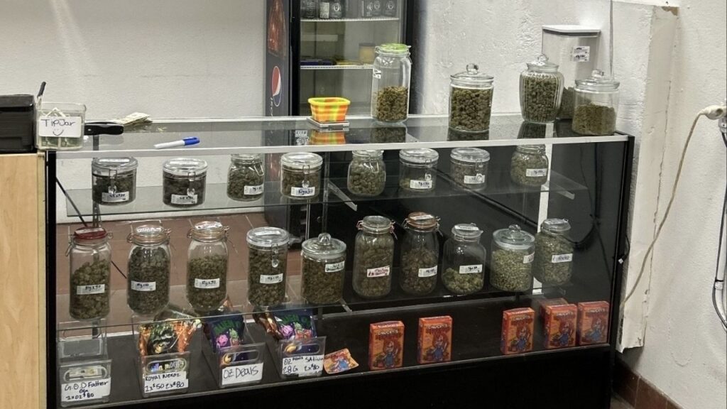 Kern County authorities shut down four illegal marijuana dispensaries in Rosamond Thursday, Feb. 12, 2026, seizing large amounts of marijuana, edibles, concentrates, and psilocybin, and arrested nine people. (Kern County SO)