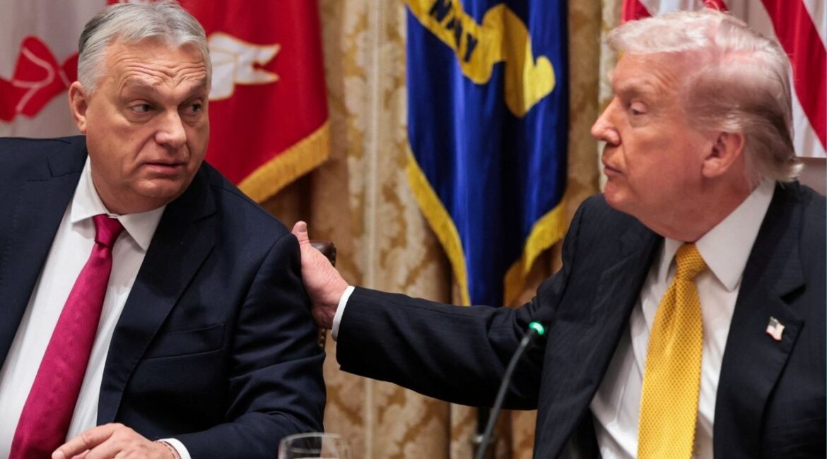 President Donald Trump hosts a bilateral lunch with Hungary's Prime Minister Viktor Orban at the White House in Washington, D.C., U.S., November 7, 2025. (Reuters/Jonathan Ernst)