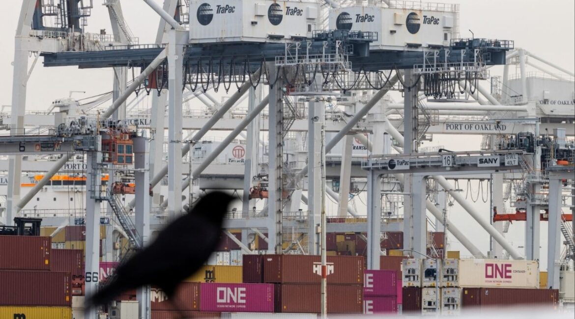 Shipping containers at the port of Oakland following the Supreme Court's ruling that Trump had exceeded his authority when he imposed tariffs, in Oakland, California, U.S., February 23, 2026. (Reuters/Carlos Barria)
