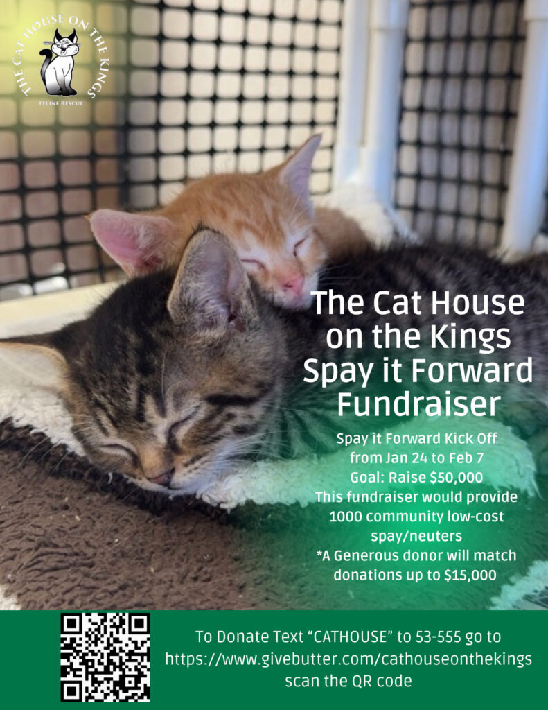 Graphic Image of The Cat House on the Kings Spay/Neuter Fundraiser
