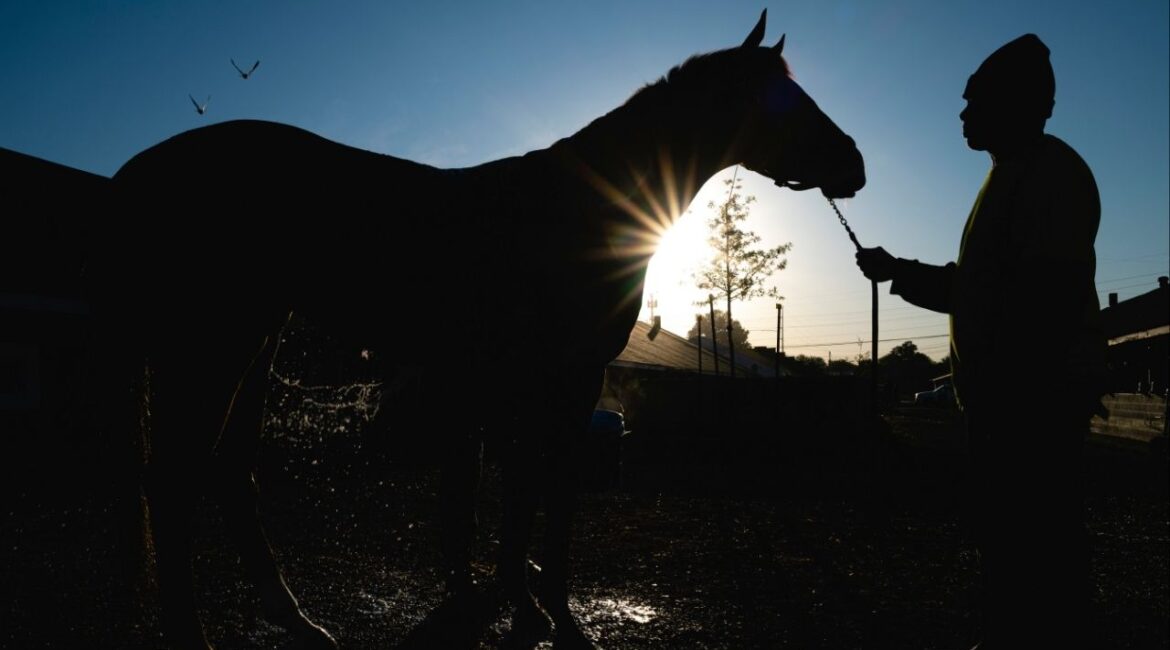 Stablehands wash thoroughbreds at Churchill Downs on Oaks Day in Louisville, Ky., May 5, 2023. The Horseracing Integrity and Safety Authority has filed a complaint saying Churchill Downs Inc. is not paying its fair share to support inspections and testing. (Jon Cherry/The New York Times)