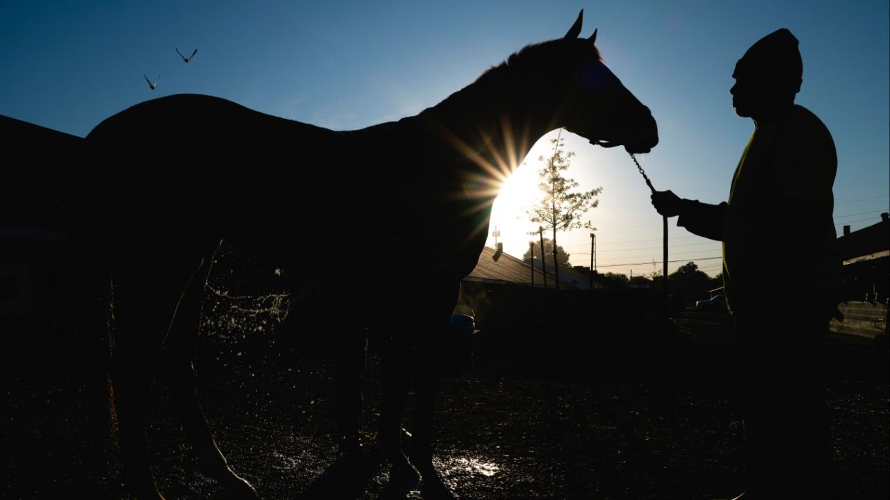 Stablehands wash thoroughbreds at Churchill Downs on Oaks Day in Louisville, Ky., May 5, 2023. The Horseracing Integrity and Safety Authority has filed a complaint saying Churchill Downs Inc. is not paying its fair share to support inspections and testing. (Jon Cherry/The New York Times)