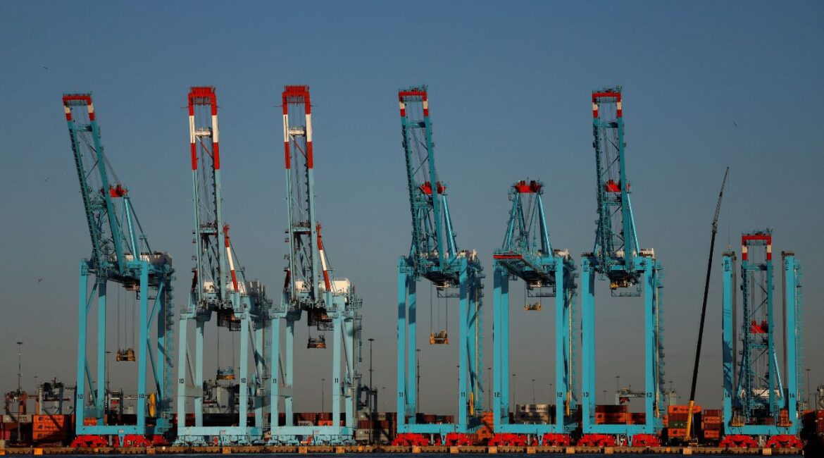 The Port of Elizabeth marine terminal is seen from Bayonne, New Jersey, U.S., April 9 2025. (Reuters/Shannon Stapleton)