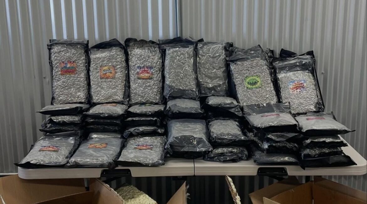 Visalia police destroyed 3,200 pounds of marijuana worth $3.2 million seized from out-of-state shipping cases on Thursday, Feb. 12, 2026. (Visalia PD)