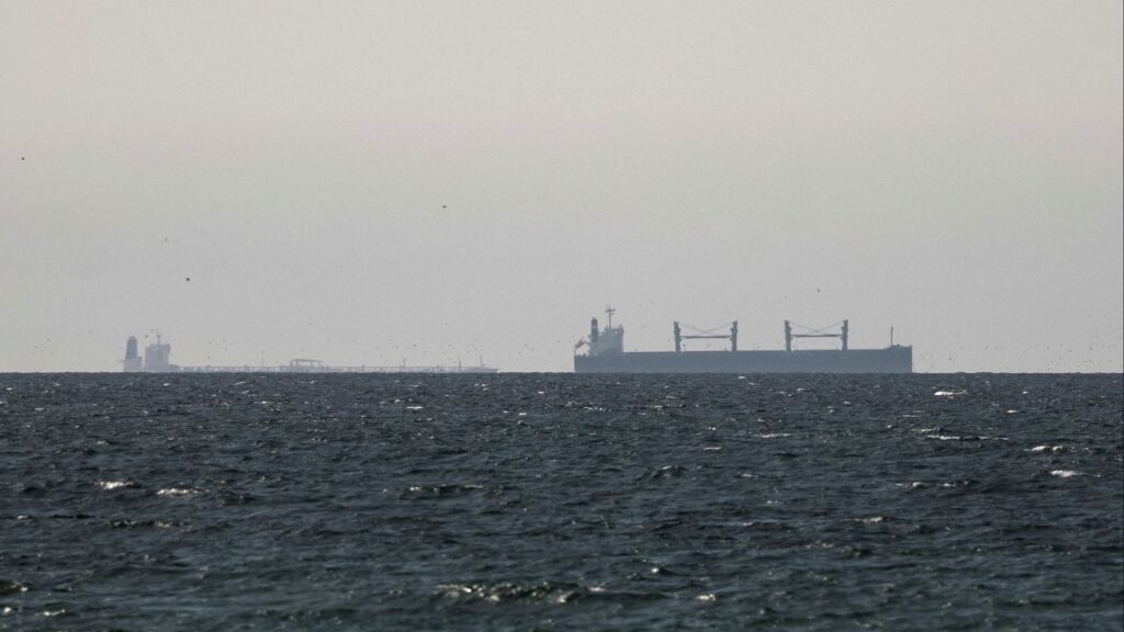 A cargo ship in the Gulf, near the Strait of Hormuz, as seen from northern Ras al-Khaimah, near the border with Oman’s Musandam governance, amid the U.S.-Israeli conflict with Iran, in United Arab Emirates, March 11, 2026. (Reuters/Stringer)