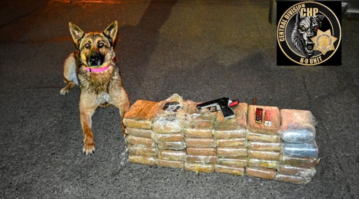 A traffic stop in Merced County led to the seizure of more than $3.5 million in suspected cocaine and fentanyl, along with a loaded handgun, and the arrest of a driver on multiple charges. (CHP)