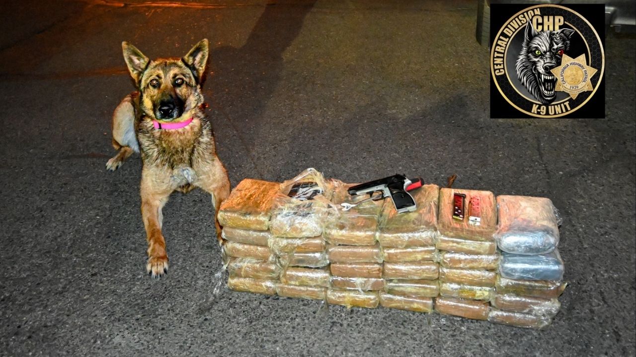 A traffic stop in Merced County led to the seizure of more than $3.5 million in suspected cocaine and fentanyl, along with a loaded handgun, and the arrest of a driver on multiple charges. (CHP)