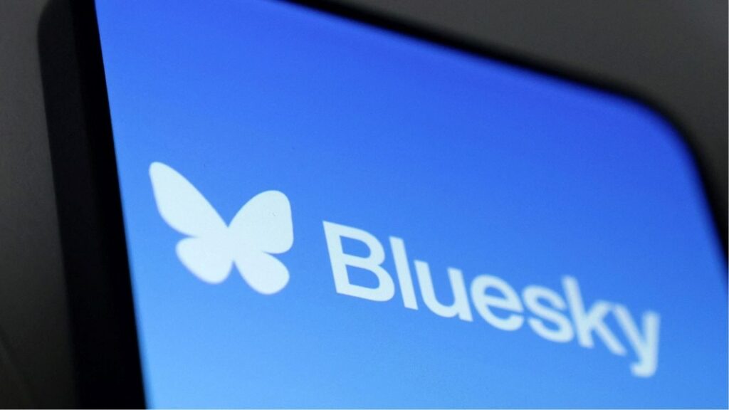 Bluesky app logo is seen in this illustration taken November 19, 2024. (Reuters/Dado Ruvic/Illustration)