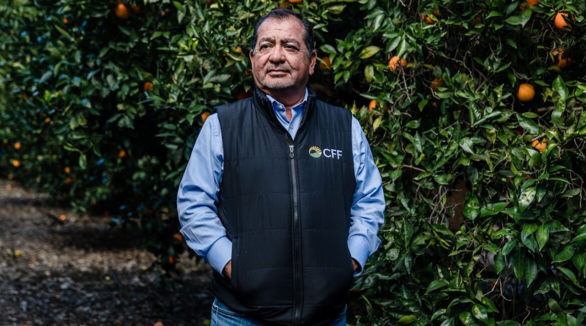 Image of California farm labor contractor Joe Garcia in blue jeans, short, and vest, standing in a citrus grove.