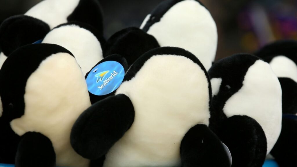 Stuffed Orca whale toys are displayed for sale at SeaWorld in San Diego, California, U.S., May 31, 2017. (Reuters File)