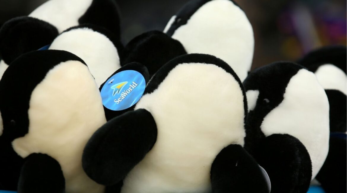 Stuffed Orca whale toys are displayed for sale at SeaWorld in San Diego, California, U.S., May 31, 2017. (Reuters File)