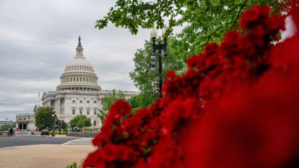 View of the U.S. Capitol in Washington, U.S., April 20, 2024. (Reuters/Ken Cedeno)