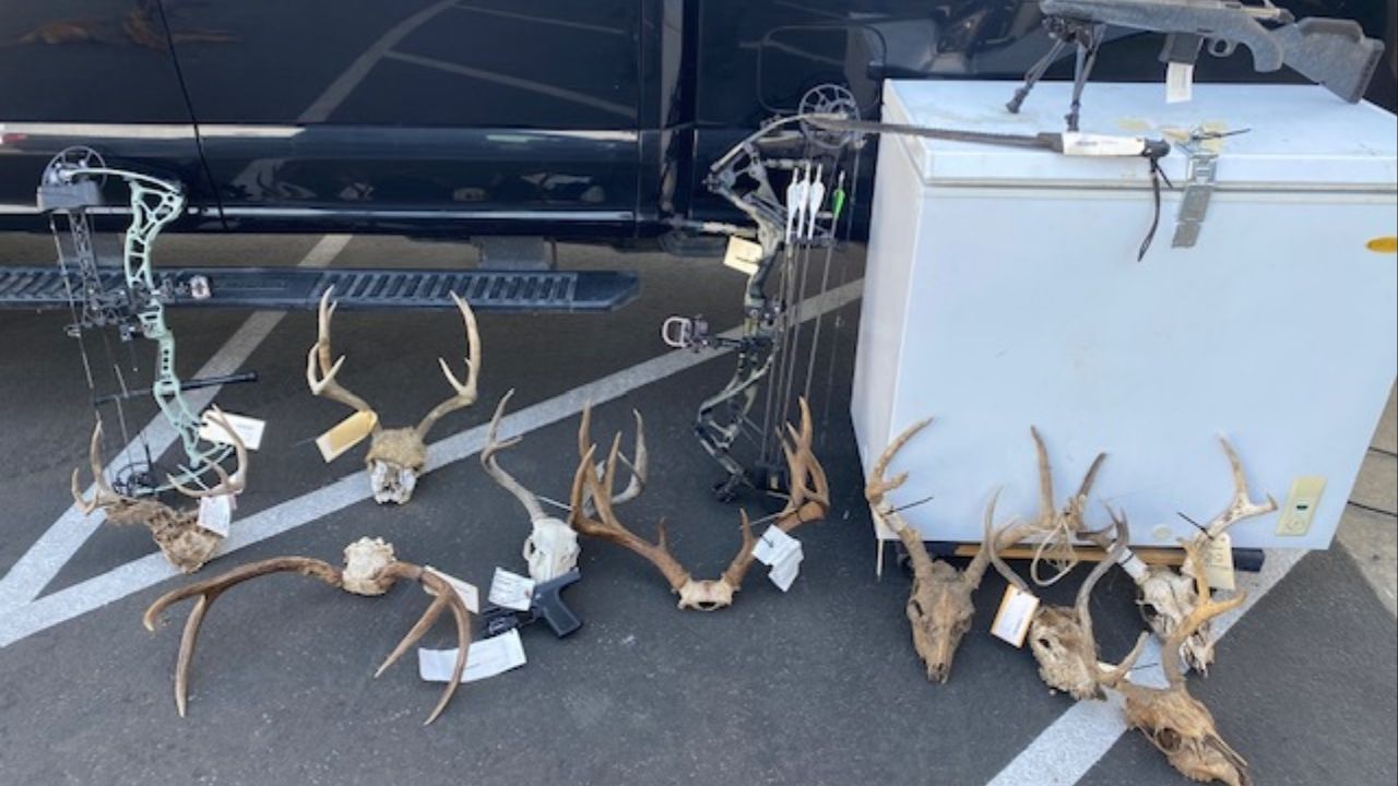 Wildlife officers in Tulare County arrested four people in a multi-year deer poaching investigation involving illegal hunting methods and reused tags. (California Department of Fish and Wildlife)
