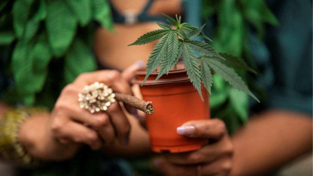 A woman carries a marijuana plant as she attends the annual NYC Cannabis Parade at the Manhattan borough in New York City, U.S., May 4, 2024. (Reuters/Eduardo Munoz)