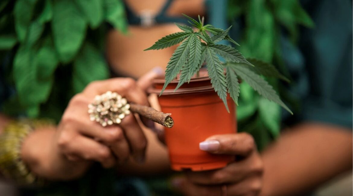 A woman carries a marijuana plant as she attends the annual NYC Cannabis Parade at the Manhattan borough in New York City, U.S., May 4, 2024. (Reuters/Eduardo Munoz)