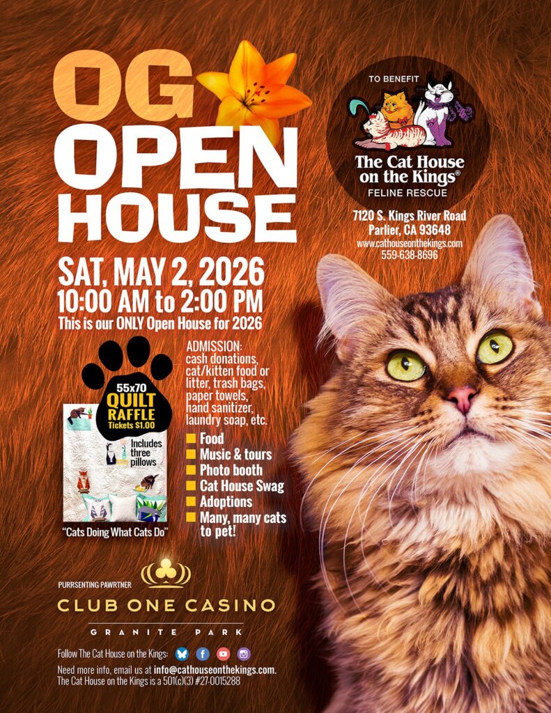 Cat House on the Kings Open House Flyer