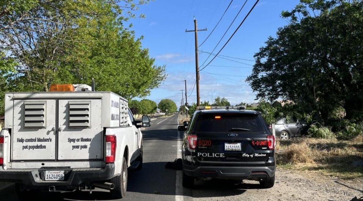 Madera police are on scene of a crash on the 13000 block of Road 28, blocking lanes and urging drivers to avoid the area on Thursday, April 2, 2026. (Madera PD)