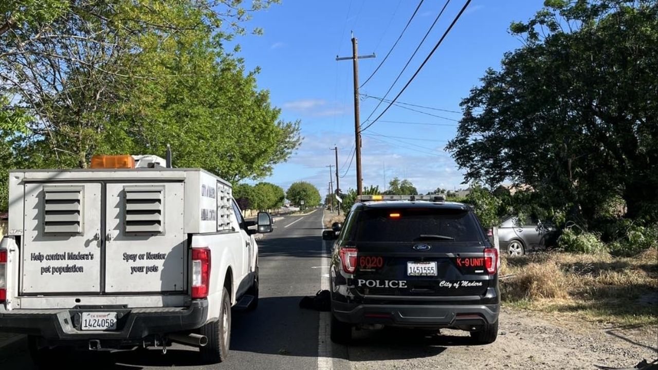 Madera police are on scene of a crash on the 13000 block of Road 28, blocking lanes and urging drivers to avoid the area on Thursday, April 2, 2026. (Madera PD)