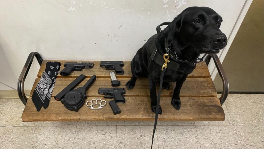 Visalia police arrested three men on multiple firearms charges during traffic stops at the Mooney’s Grove Easter Car Show on Saturday, April 4, 2026. (Visalia PD)