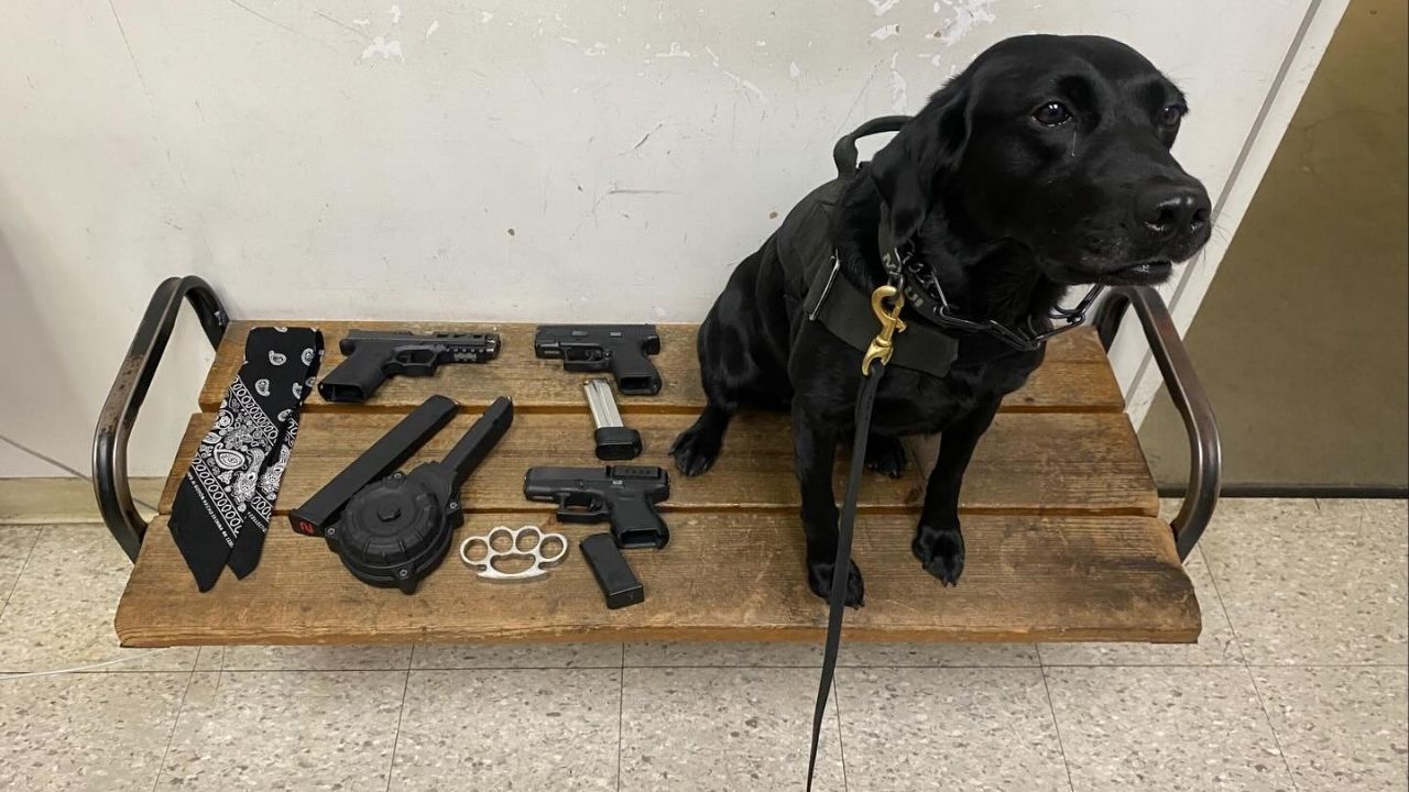 Visalia police arrested three men on multiple firearms charges during traffic stops at the Mooney’s Grove Easter Car Show on Saturday, April 4, 2026. (Visalia PD)