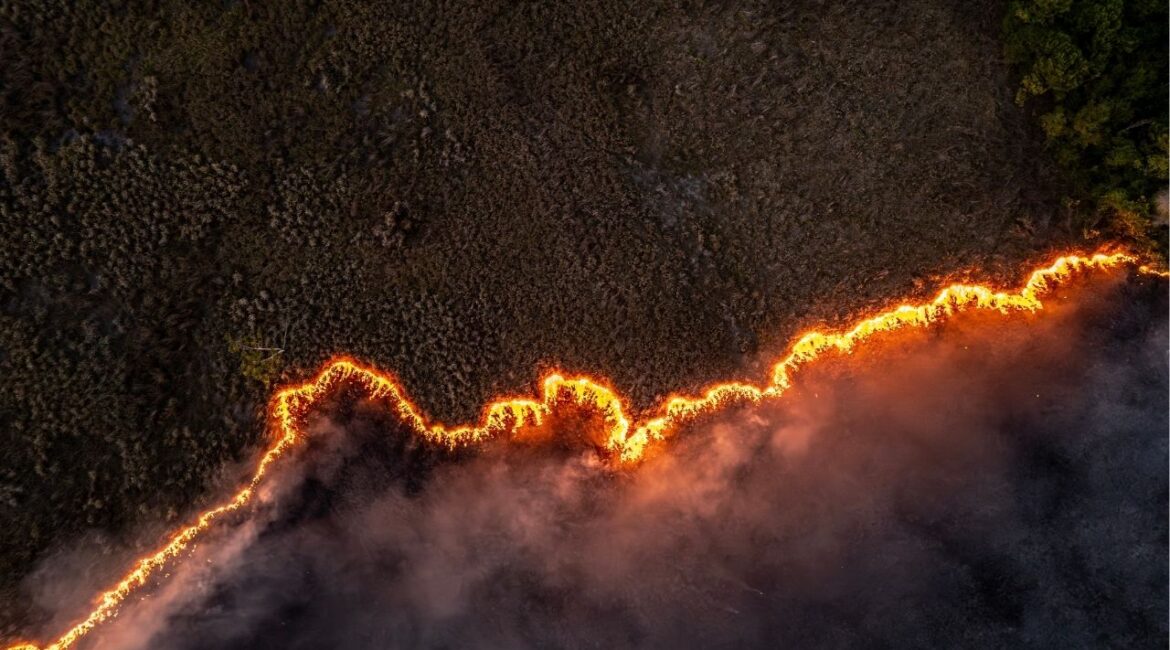 Wildfire on degraded pastureland on the fringes of Paragominas, Pará State, Brazil, Nov. 13, 2025. In 2025, the world razed less forest than any other year in the last decade. The bad news: global warming is making wildfires more frequent and intense. (Dado Galdieri/The New York Times)