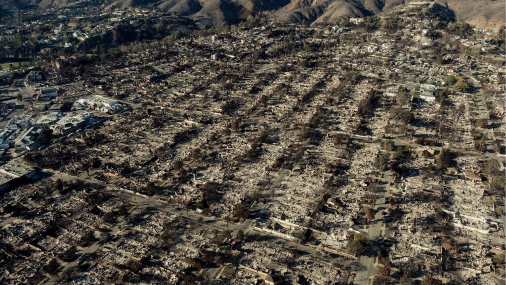 An aerial view shows block after block of homes destroyed by wildfire in the Pacific Palisades neighborhood of Los Angeles, Jan. 14, 2025. Federal prosecutors say the man accused of starting one of the most destructive fires in California history was fascinated by fire and by Luigi Mangione, who became a populist hero to some after he was charged with murdering a health insurance executive. (Mark Abramson/The New York Times)