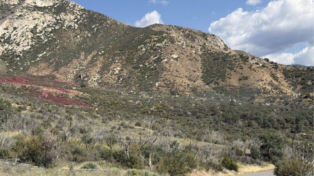 Firefighters halted a Kern County wildfire within two hours of dispatch, limiting it to 31.8 acres with no injuries reported and 20% containment achieved as of Thursday, April 30, 2026. (Kern County FD)