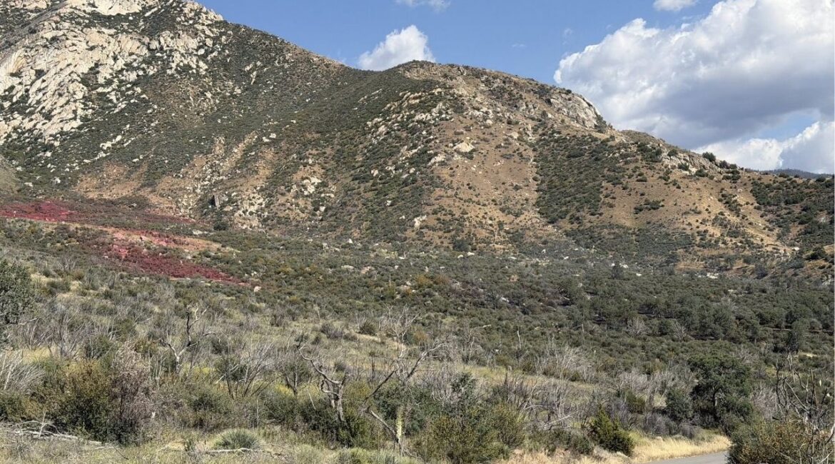 Firefighters halted a Kern County wildfire within two hours of dispatch, limiting it to 31.8 acres with no injuries reported and 20% containment achieved as of Thursday, April 30, 2026. (Kern County FD)