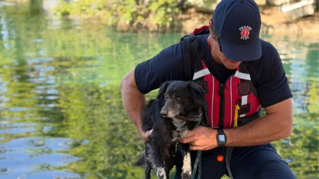 Fresno firefighters used a boat to rescue a dog stranded on a small island in Roeding Park before turning it over to the Fresno Animal Center to await reunion or adoption. (Fresno FD)
