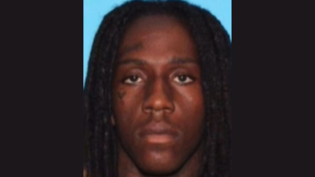 Fresno police arrested 25-year-old Lelan Lee on murder charges in a March shooting that killed two 15-year-old boys and wounded another teen. (Fresno PD)
