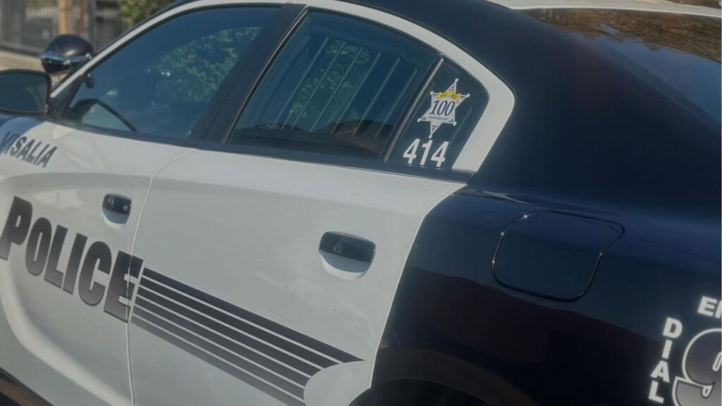 Margarita Rodriguez was arrested Thursday on suspicion of felony DUI and child endangerment after police said she crashed into a tree while driving under the influence of a stimulant, injuring two of her three children. (Visalia PD)