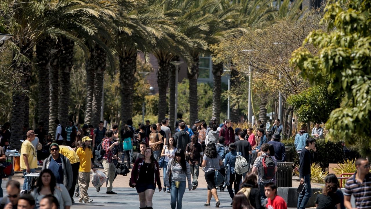 Students walk through campus between classes at Santa Monica College in Santa Monica, California April 4, 2012. (Reuters File)