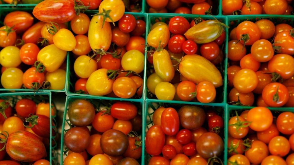 Tomatoes are displayed for sale at the Chino Farm in Rancho Santa Fe, after U.S. producer prices increased more than expected in July amid a surge in the costs of services and goods, in California, U.S., August 15, 2025. (Reuters/Mike Blake)