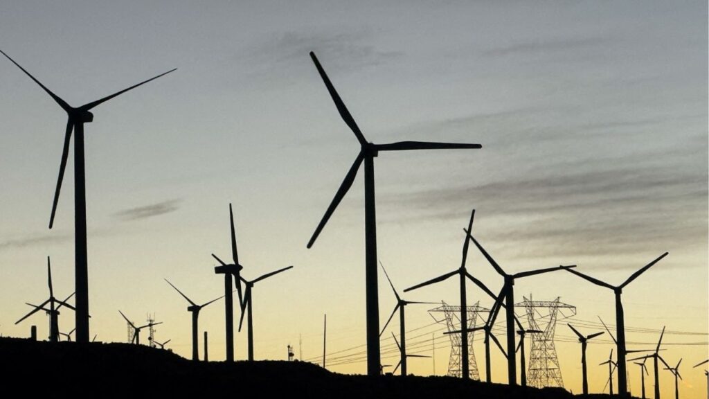 Wind turbines are shown in Palm Springs, California, U.S., October 12, 2024. (Reuters/Mike Blake)