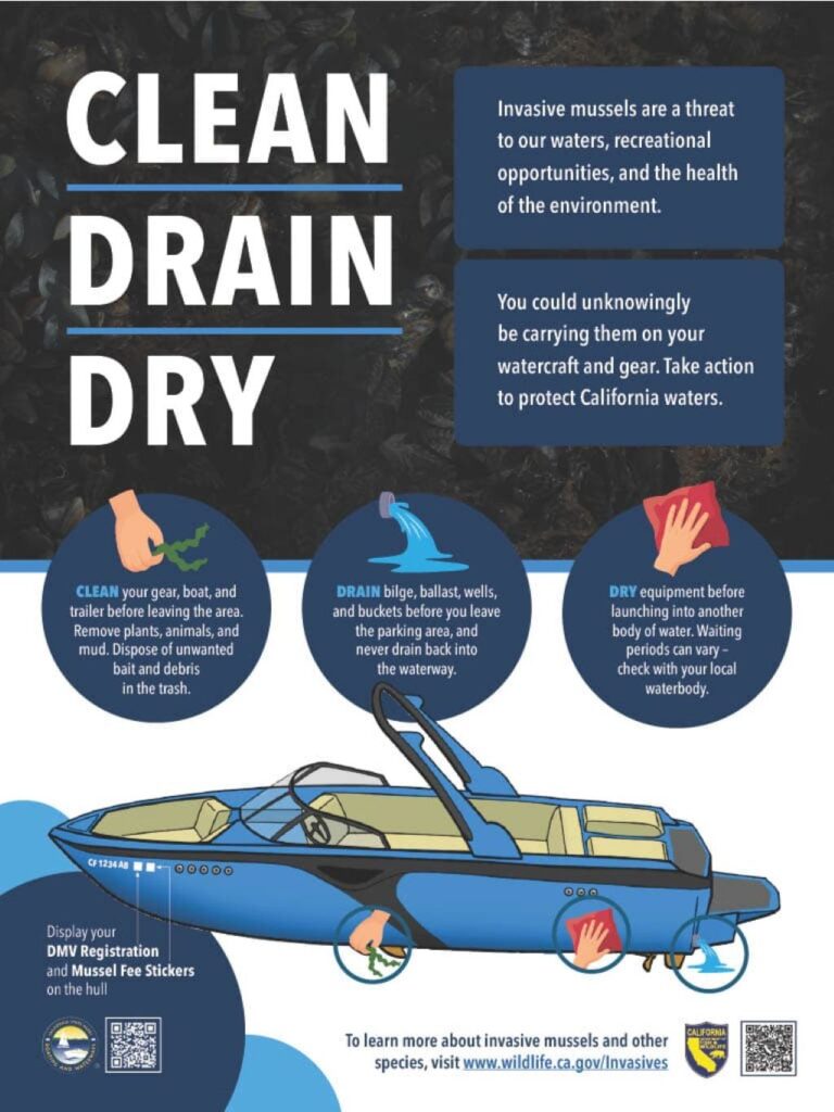 A flyer from the state of California on how to prevent the spread of golden mussels by cleaning, draining, and drying your boat