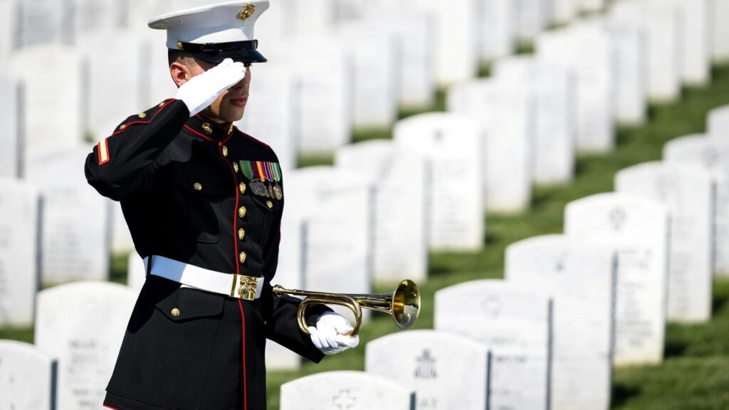 Image of a Marine Corps member saluting in a military cemetery